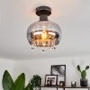 Boudry Lámpara de Techo Negro, 1 luz