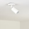 Aketohoin Lámpara de techo para exterior LED Blanca, 1 luz