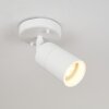 Aketohoin Lámpara de techo para exterior LED Blanca, 1 luz