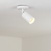 Aketohoin Lámpara de techo para exterior LED Blanca, 1 luz