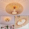 Oravi Lámpara de Techo Beige, Negro, 1 luz