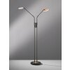 Fischer & Honsel Dent Lámpara de Pie LED Negro, 2 luces