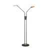 Fischer & Honsel Dent Lámpara de Pie LED Negro, 2 luces