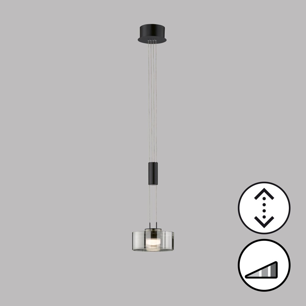 Fischer & Honsel Lavin Lámpara Colgante LED Negro, 1 luz main product photo