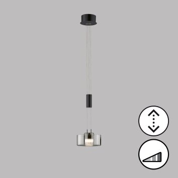 Fischer & Honsel Lavin Lámpara Colgante LED Negro, 1 luz