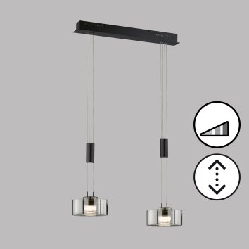 Fischer & Honsel Lavin Lámpara Colgante LED Negro, 2 luces