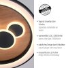 Paul Neuhaus ELIZA Lámpara de Techo LED Crudo, 2 luces