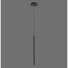 Paul Neuhaus FLUTE Lámpara Colgante LED Negro, 1 luz