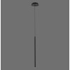 Paul Neuhaus FLUTE Lámpara Colgante LED Negro, 1 luz