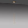 Paul Neuhaus FLUTE Lámpara Colgante LED dorado, 1 luz