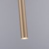 Paul Neuhaus FLUTE Lámpara Colgante LED dorado, 1 luz
