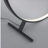 Paul Neuhaus HULA Lámpara de Pie LED Negro, 1 luz, Mando a distancia