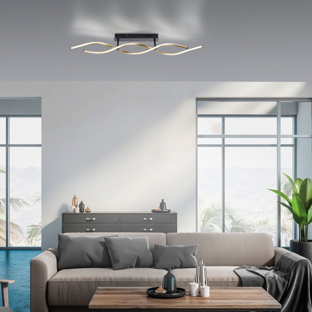 Paul Neuhaus POLINA Lámpara de Techo LED Negro, 1 luz main product photo