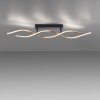 Paul Neuhaus POLINA Lámpara de Techo LED Negro, 1 luz