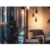 Philips Hue E27 LED 7 vatios 2100 Kelvin 550 lúmenes