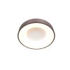 Steinhauer Ringlede Lámpara de Techo, 1 luz