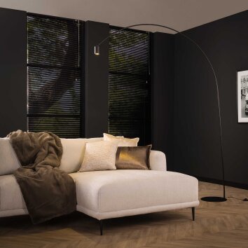 Arc Lámpara de Pie LED Antracita, 1 luz