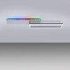 Leuchten Direkt RENDA Lámpara de Techo LED Plata, 2 luces, Mando a distancia, Cambia de color