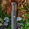 Dakar Poste de Jardín Antracita, 1 luz, Sensor de movimiento