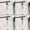 Vevino Lámpara Colgante Cristal 20cm Transparente, 4 luces