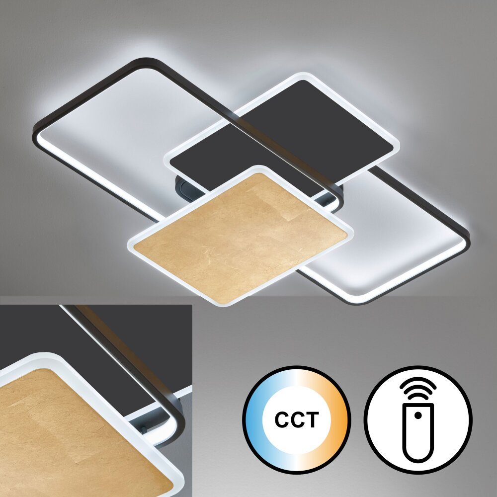 Fischer & Honsel Quadro Lámpara de Techo LED Negro, 1 luz, Mando a distancia main product photo