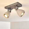 Lomma Lámpara de Techo Gris, 2 luces