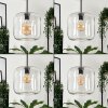 Lauden Lámpara Colgante Cristal 25cm Transparente, 1 luz