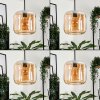 Lauden Lámpara Colgante Cristal 25cm Colores ámbar, 1 luz