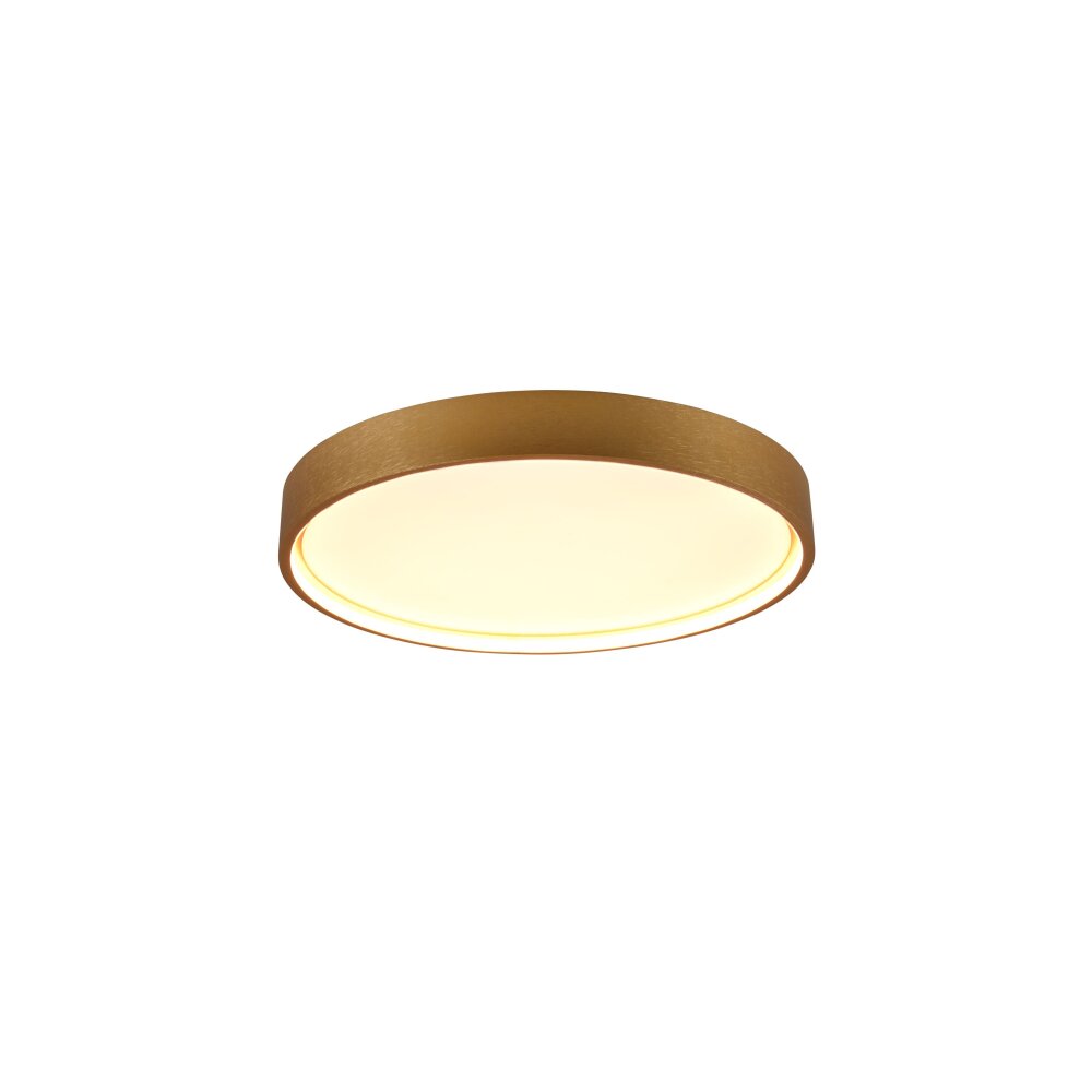 Trio DOHA Lámpara de Techo LED Latón, 1 luz main product photo