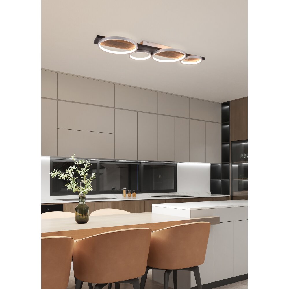 Trio Medera Lámpara de Techo LED Negro, Titanio, 1 luz main product photo