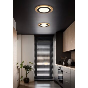 Trio MORGAN Lámpara de Techo LED dorado, Negro, 1 luz, Mando a distancia