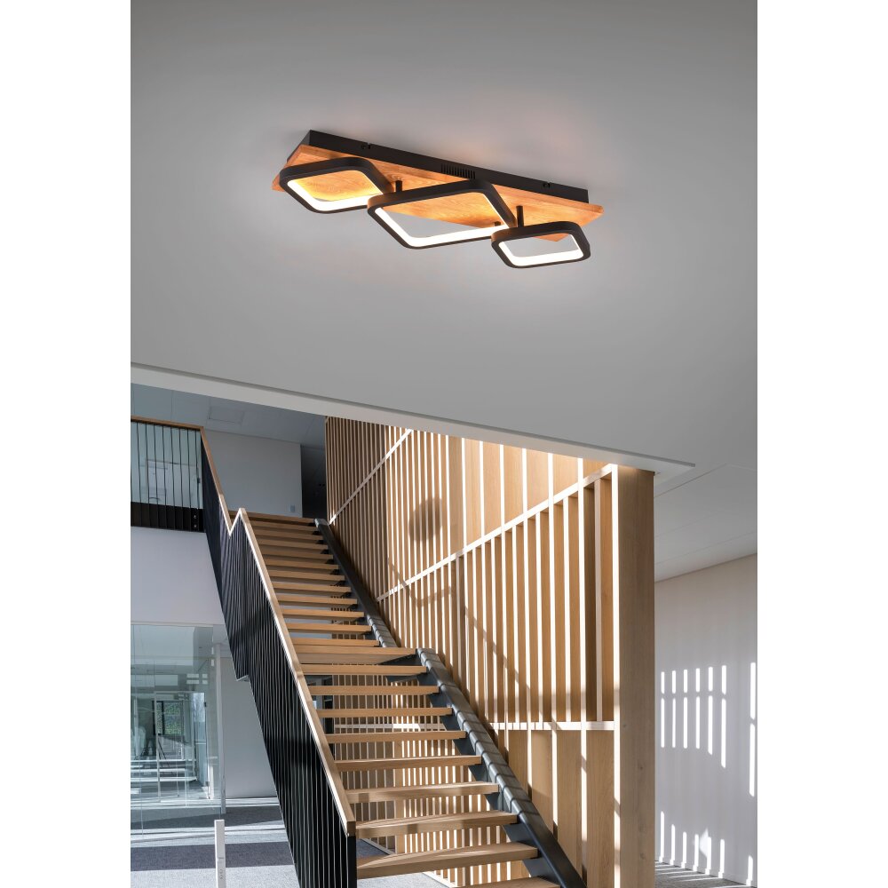 Trio Rama Lámpara de Techo LED Crudo, Negro, 1 luz main product photo