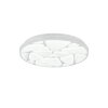 Reality ASTRO Lámpara de Techo LED Blanca, 1 luz, Mando a distancia