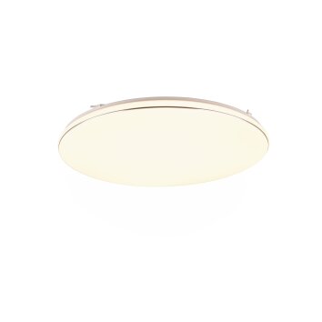Reality BLANCA Lámpara de Techo LED Blanca, 1 luz