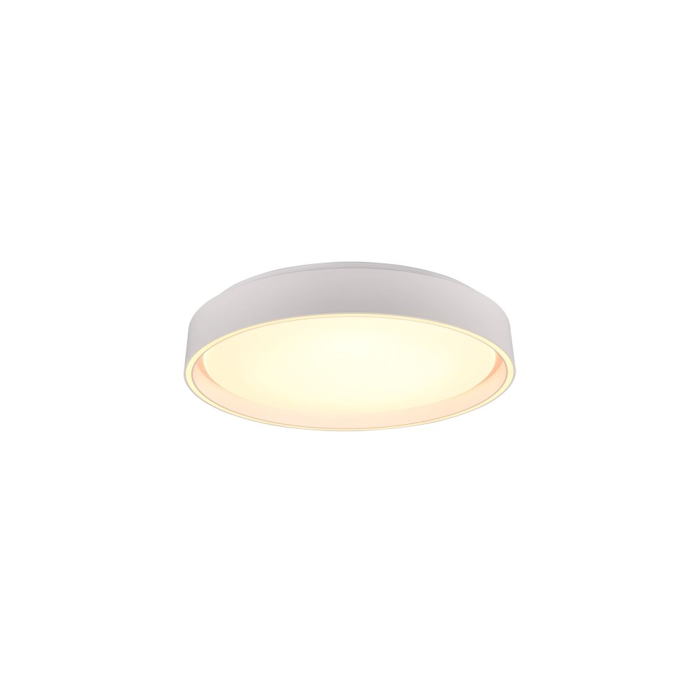 Reality Felis Lámpara de Techo LED Blanca, 1 luz, Mando a distancia main product photo
