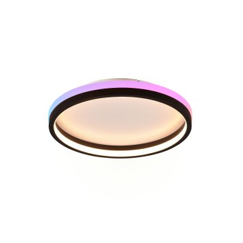 Reality HIKO Lámpara de Techo LED Negro, 2 luces, Mando a distancia