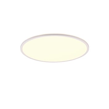 Reality SCOTT Lámpara de Techo LED Blanca, 1 luz, Mando a distancia