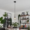 Lauden Lámpara Colgante - Cristal Transparente, 1 luz