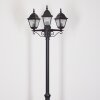 Naofe Candelabro Negro, 3 luces