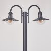 Elima Candelabro Antracita, 2 luces