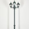 Naofe Candelabro Verde, Negro, 3 luces