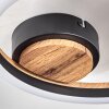 Cascada Lámpara de Techo LED Marrón, Color madera, Negro, 1 luz