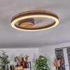 Cascada Lámpara de Techo LED Marrón, Color madera, Negro, 1 luz