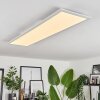 Voisines Lámpara de Techo LED Blanca, 1 luz, Mando a distancia