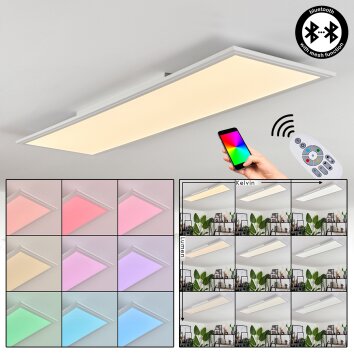 Voisines Lámpara de Techo LED Blanca, 1 luz, Mando a distancia