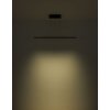 Globo DENTSY Lámpara Colgante LED Negro, 1 luz