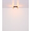Globo HOLLSY Aplique Negro, 1 luz