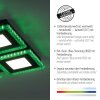 Leuchten-Direkt ACRI Lámpara de Techo LED Negro, 2 luces, Mando a distancia