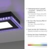 Leuchten-Direkt ACRI Lámpara de Techo LED Negro, 2 luces, Mando a distancia
