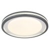 GloboTERPSA Lámpara de Techo LED Gris, Blanca, 1 luz, Mando a distancia